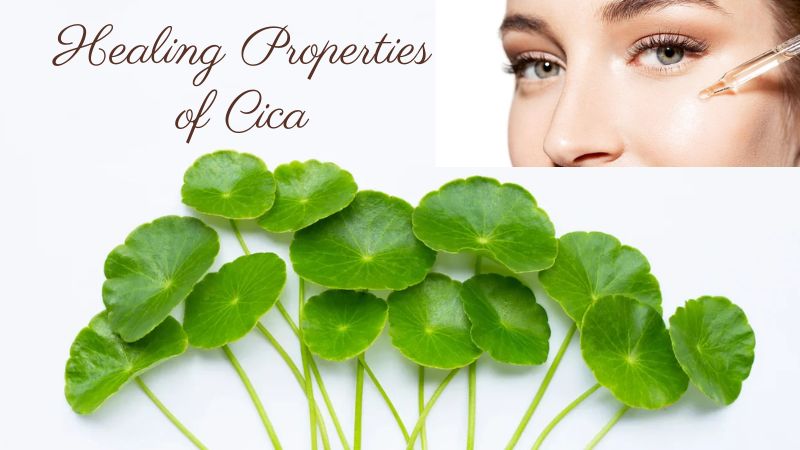 Healing Properties of Cica