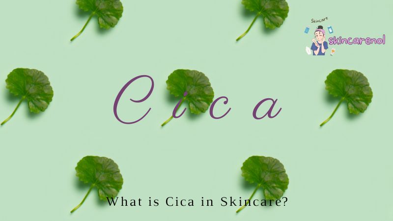 What is Cica in Skincare?