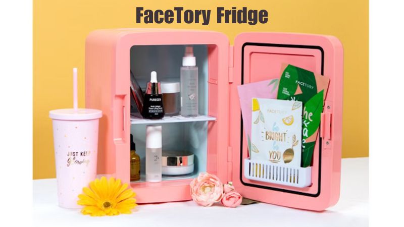 FaceTory Fridge