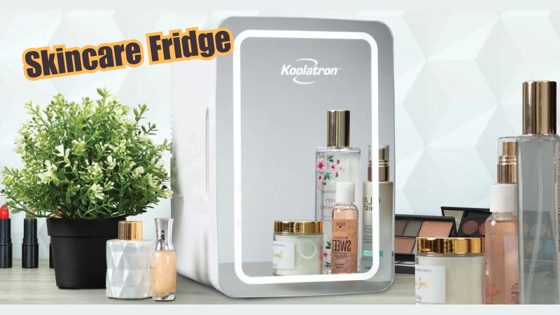 How Much Is a Skincare Fridge?